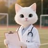 dreamcat66
