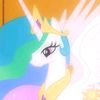 flutter871