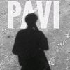 pavi...2008