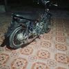 zuan12355