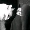itx.mehh_