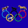 Animal Olympics