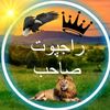 rana.anas_49