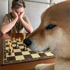 kimjon_0001