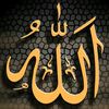 islamicvideoofficil1