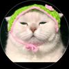 dreamies360