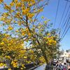 winhtut1203