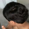 panter_1038