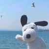 marinecich
