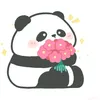 hoagoanh62