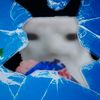kdn_wlkr