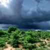 cabdirizaakh.jimc