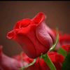 user357208038