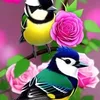 user810114291328097