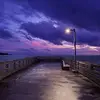 alithalib23