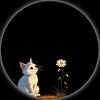 chimo865