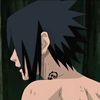 .xinnmlbb