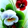 user70193087772581