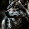 simon.king664