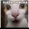 beban.mimi5
