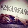 user8849351011040