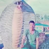 c.tiu2917