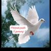 user7934427506191