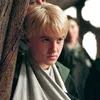 Draco_loveme