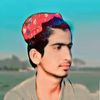 mqasim9560