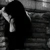 mimi_19733