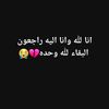 user1006340565090