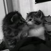 lauma_eli