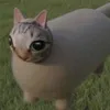 kekepo_1092