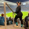 Nai_Zanellato