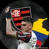 gui.zin.edit8