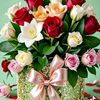 mohsan.dildar