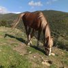 samir.samir51142