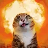 catwomanlover1