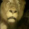 jason.nagbe8