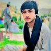 bacha8818