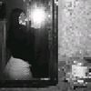 mia_7342