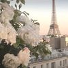 nourazwdjzi