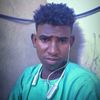 user486259519060535