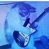 ca1tl1n_loves_cats123