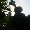 yousefbrinis0