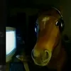 miguel.acosta712