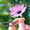 ayda.rahmani89