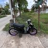 beat_fer_dy394