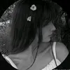 .o98115