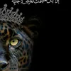 mj.ks7